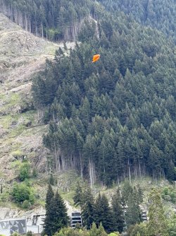 IMG_1555.jpeg IMG_1555.jpeg