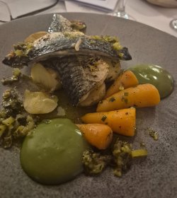 20250920_204759.jpg 20250920_204759.jpg