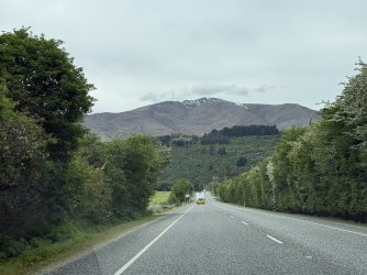 IMG_1556.jpeg IMG_1556.jpeg