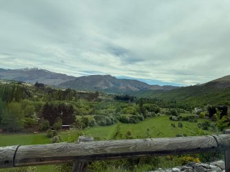 IMG_1557.jpeg IMG_1557.jpeg