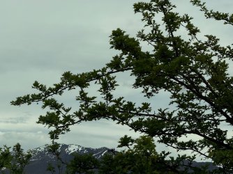 IMG_1559.jpeg IMG_1559.jpeg