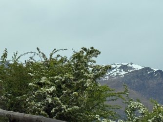 IMG_1563.jpeg IMG_1563.jpeg