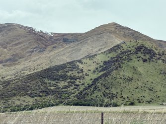 IMG_1568.jpeg IMG_1568.jpeg