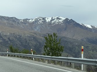 IMG_1569.jpeg IMG_1569.jpeg