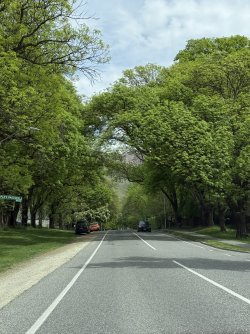 IMG_1577.jpeg IMG_1577.jpeg