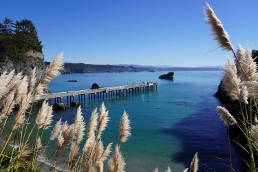 DSC02140.JPG DSC02140.JPG