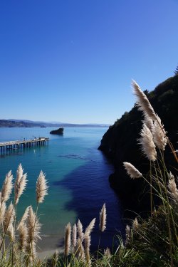 DSC02142.JPG DSC02142.JPG