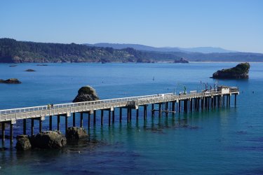 DSC02194.JPG DSC02194.JPG