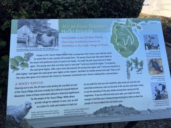 IMG_2983.jpeg IMG_2983.jpeg