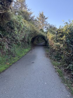 IMG_2980.jpeg IMG_2980.jpeg