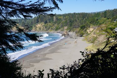 DSC02153.JPG DSC02153.JPG