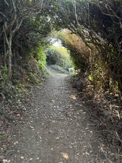 IMG_2985.jpeg IMG_2985.jpeg