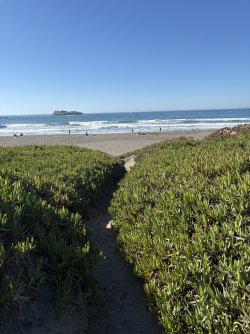 IMG_2998.jpeg IMG_2998.jpeg