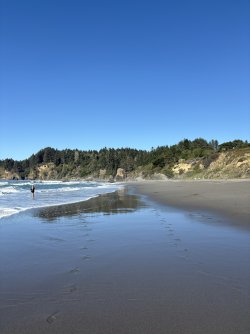 IMG_2999.jpeg IMG_2999.jpeg