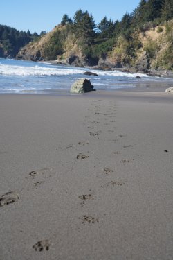 DSC02198.JPG DSC02198.JPG