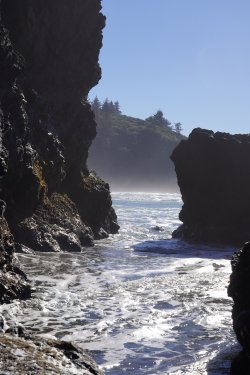 DSC02203.JPG DSC02203.JPG