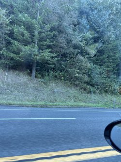 IMG_3005.jpeg IMG_3005.jpeg