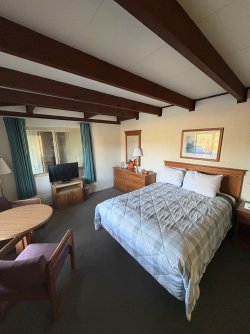 IMG_3010.jpeg IMG_3010.jpeg