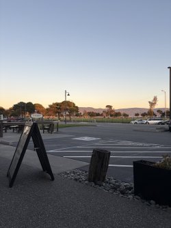 IMG_3017.jpeg IMG_3017.jpeg