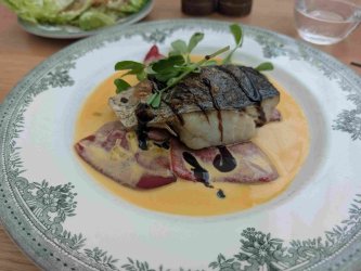 PXL_20251016_113637756.jpg PXL_20251016_113637756.jpg