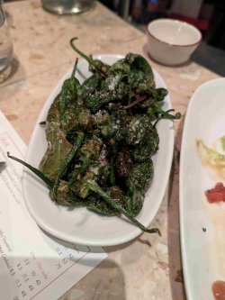 PXL_20251016_175107559.jpg PXL_20251016_175107559.jpg