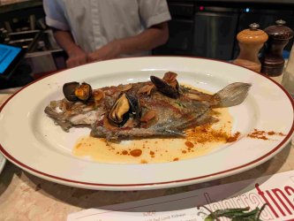 PXL_20251016_180012700.jpg PXL_20251016_180012700.jpg