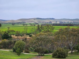 20251113_172112.jpg 20251113_172112.jpg