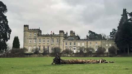 Screenshot_20251114_222502_Chrome.jpg Screenshot_20251114_222502_Chrome.jpg