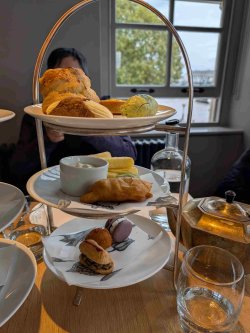 PXL_20251018_114435555.MP.jpg PXL_20251018_114435555.MP.jpg