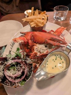 PXL_20251018_200226266.jpg PXL_20251018_200226266.jpg