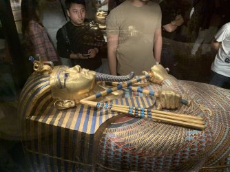 IMG_3287.jpeg IMG_3287.jpeg