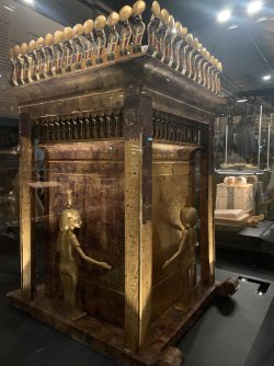 IMG_3291.jpeg IMG_3291.jpeg