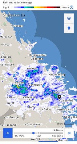 IMG_5130.jpeg IMG_5130.jpeg