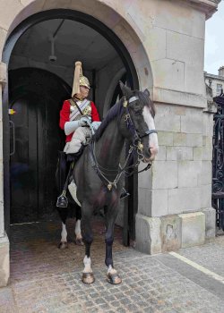 PXL_20251019_104505680.MP.jpg PXL_20251019_104505680.MP.jpg