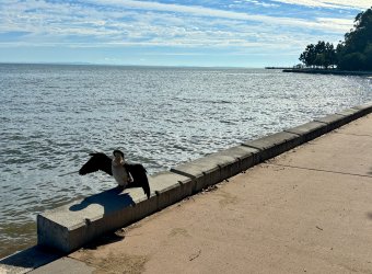 IMG_6618.jpeg IMG_6618.jpeg