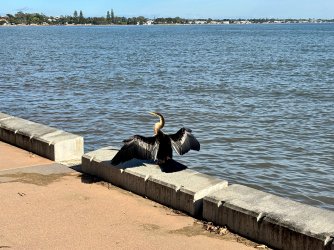 IMG_6617.jpeg IMG_6617.jpeg