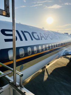 IMG_3082.jpeg IMG_3082.jpeg