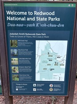 IMG_3060.jpeg IMG_3060.jpeg