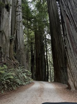 IMG_3026.jpeg IMG_3026.jpeg