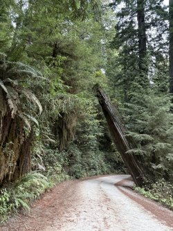 IMG_3030.jpeg IMG_3030.jpeg