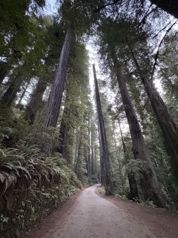 IMG_3033.jpeg IMG_3033.jpeg