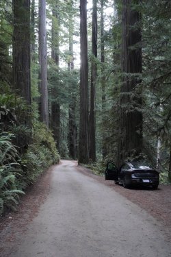 DSC02218.JPG DSC02218.JPG