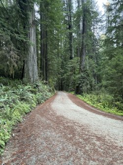 IMG_3036.jpeg IMG_3036.jpeg