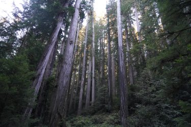 DSC02223.JPG DSC02223.JPG