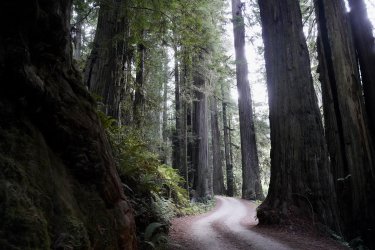 DSC02237.JPG DSC02237.JPG