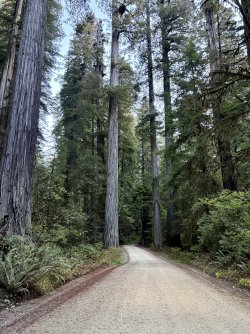 IMG_3052.jpeg IMG_3052.jpeg