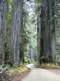 IMG_3055.jpeg IMG_3055.jpeg