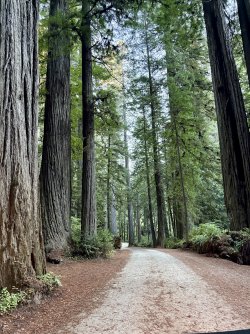 IMG_3057.jpeg IMG_3057.jpeg