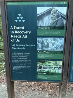 IMG_3058.jpeg IMG_3058.jpeg