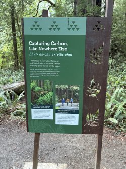 IMG_3059.jpeg IMG_3059.jpeg